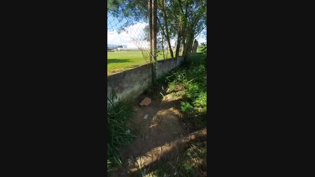 jao_magrao 17-12-2024 Recorded Video naked