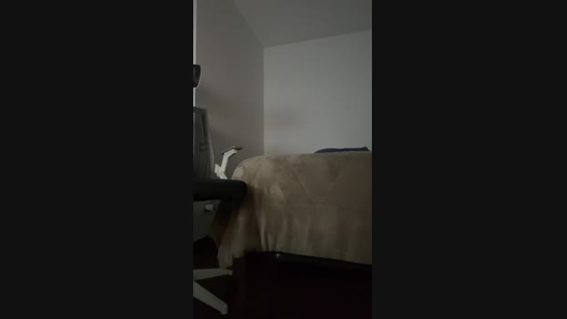 18aniosy22cm 19-12-2024 Recorded Video analtoy