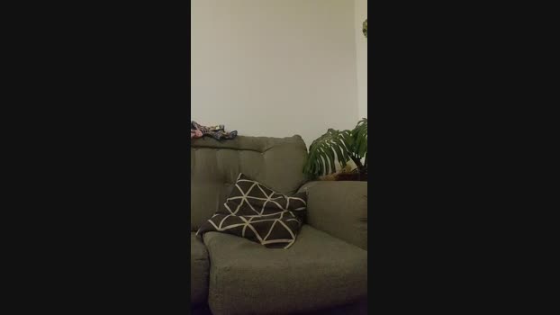 VecinoChileno 19-12-2024 Recorded Video moan