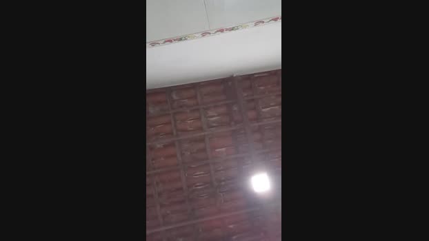 dotadoafim 19-12-2024 Recorded Video dirty