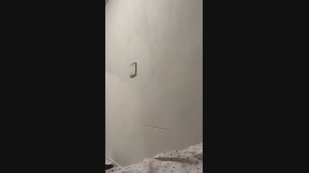 pauzudo21cmgr 19-12-2024 Recorded Video jerkoff