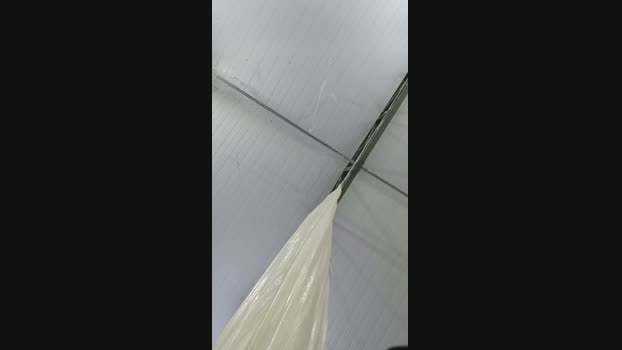 22paugg22 20-12-2024 Recorded Video kink