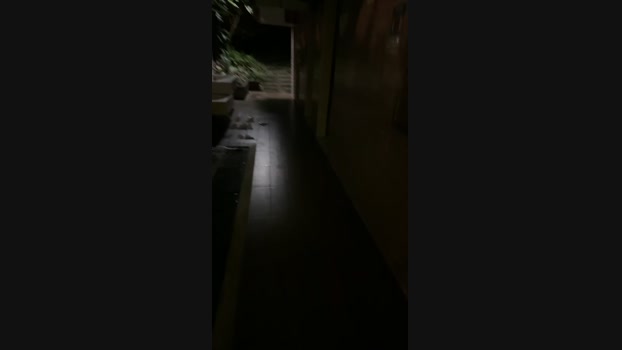 Hasusu 20-12-2024 Recorded Video kiss