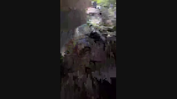 Hasusu 20-12-2024 Recorded Video analtoy