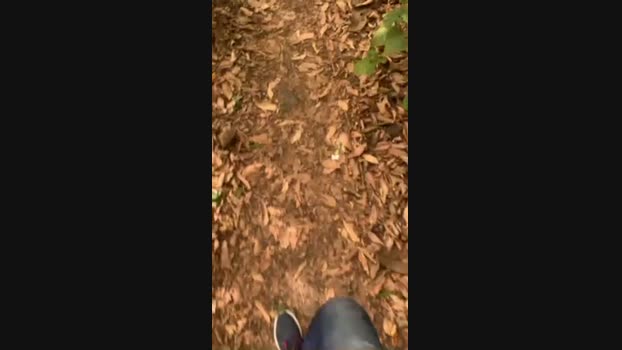 Nado1santos 19-12-2024 Recorded Video big