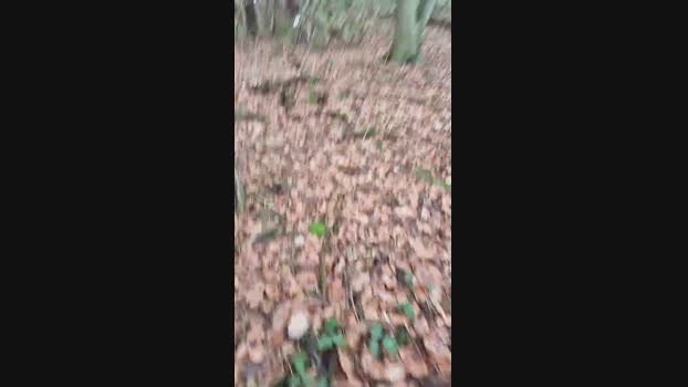 Outdoorgeil1 20-12-2024 Recorded Video amateur