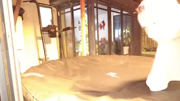Redhot_1 21-12-2024 Recorded Video fuckhard