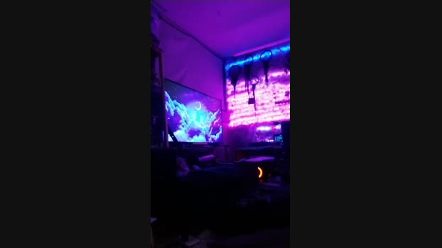 physicssexpert 20-12-2024 Recorded Video lush