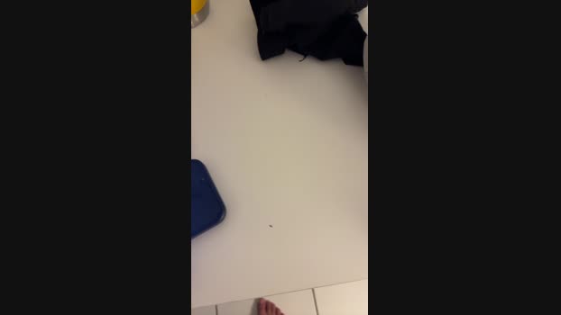 Cabinha 22-12-2024 Recorded Video wank