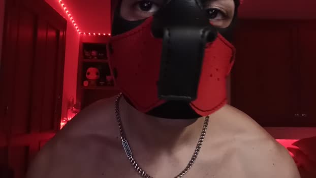 Frabroker 21-12-2024 Recorded Video horny