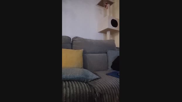Jok20x 21-12-2024 Recorded Video kissing