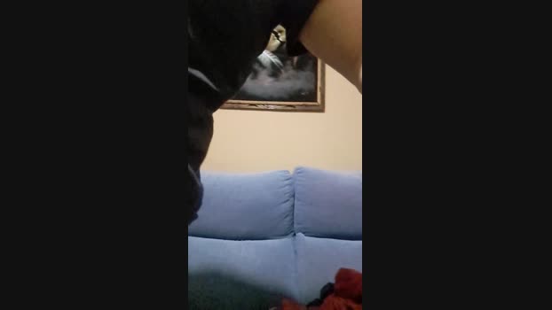 Lamaquina44 21-12-2024 Recorded Video Naked