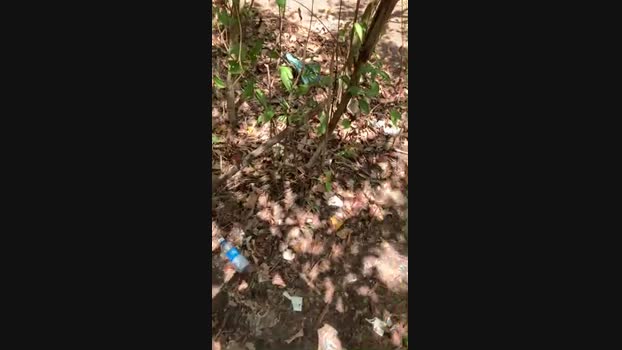 Nado1santos 22-12-2024 Recorded Video fingering