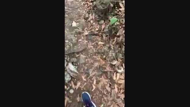 Nado1santos 22-12-2024 Recorded Video ass