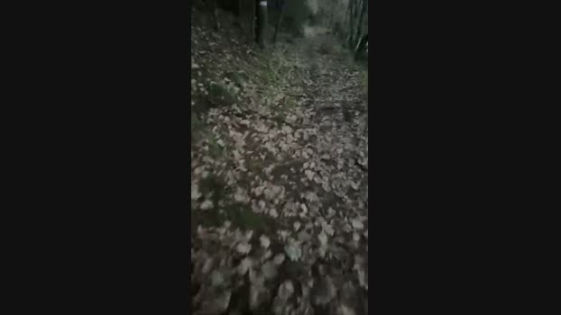Nono42240 21-12-2024 Recorded Video fuckme