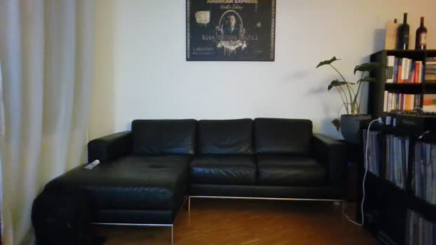 kingsizebs 21-12-2024 Recorded Video oral