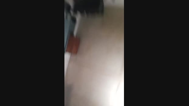 samuelPOLLON 22-12-2024 Recorded Video Ass