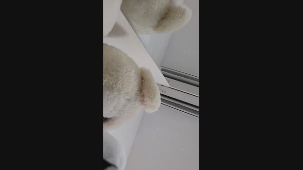 Aaran2bleA 23-12-2024 Recorded Video legs