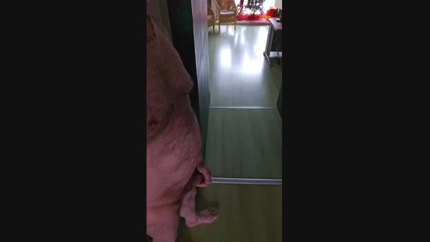 Dad4271 23-12-2024 Recorded Video blowjob