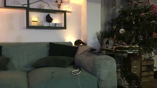 Liveboyssexe 23-12-2024 Recorded Video deep