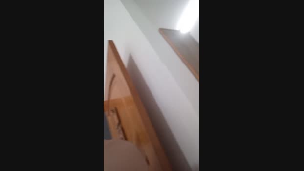 amigo_brisado 23-12-2024 Recorded Video analtoy