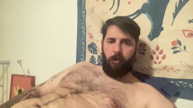 bear3393 23-12-2024 Recorded Video kinky