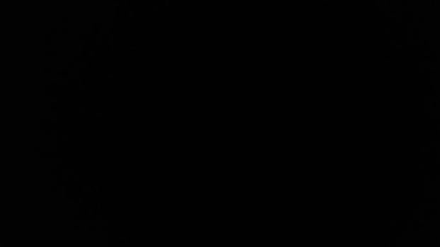 dotatvsampa 23-12-2024 Recorded Video amateur