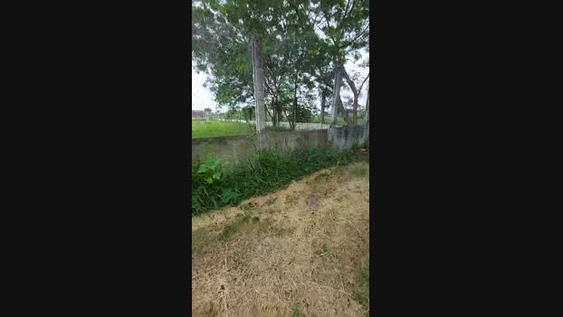 jao_magrao 23-12-2024 Recorded Video bigballs