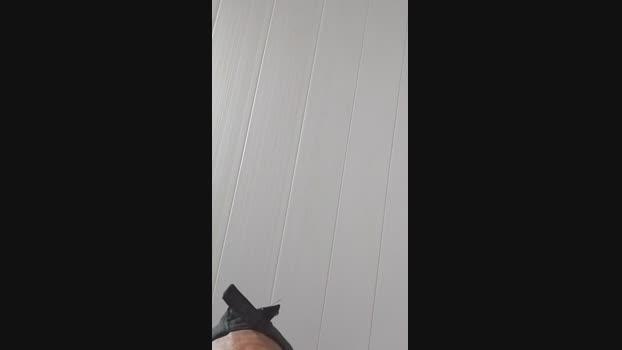 leandro1967 22-12-2024 Recorded Video play
