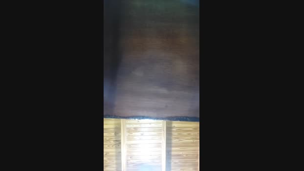 Elvergon2050 24-12-2024 Recorded Video yummy