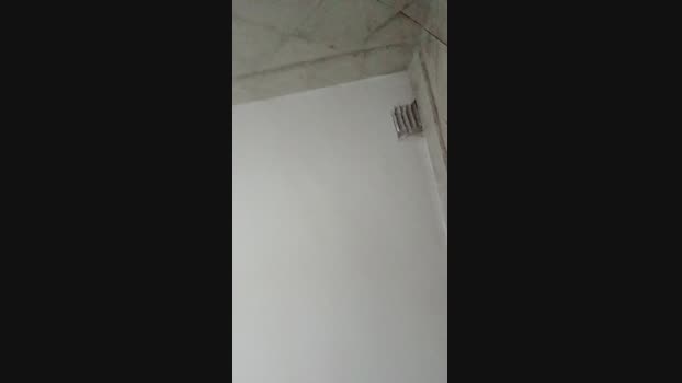 carp36 24-12-2024 Recorded Video sweet