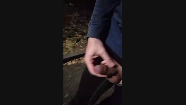 zachs4545 24-12-2024 Recorded Video fingers