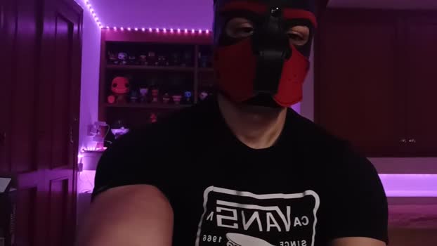 Frabroker 25-12-2024 Recorded Video analtoy