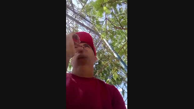 dotadoafim 25-12-2024 Recorded Video strip
