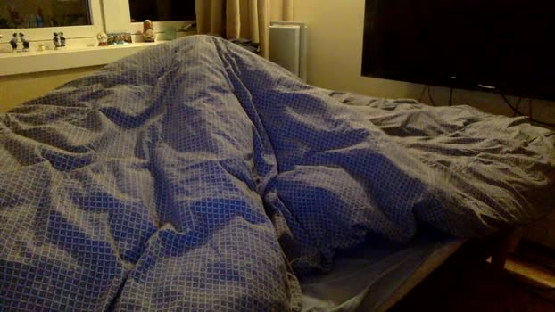 likescock5 24-12-2024 Recorded Video gay