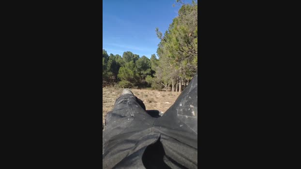 polli_play 25-12-2024 Recorded Video beautiful