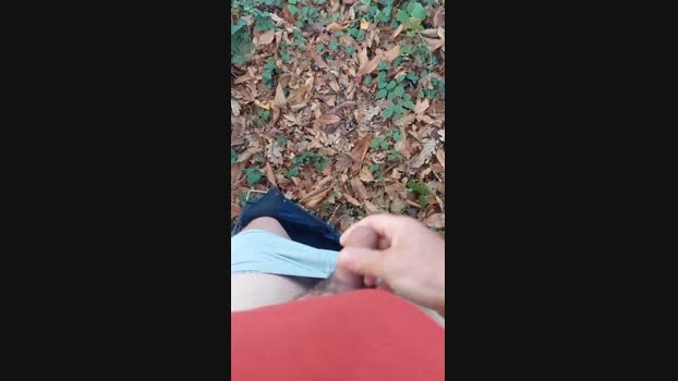 sex20241 25-12-2024 Recorded Video Porn