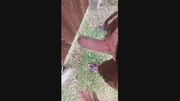 souzakw2 24-12-2024 Recorded Video sweet