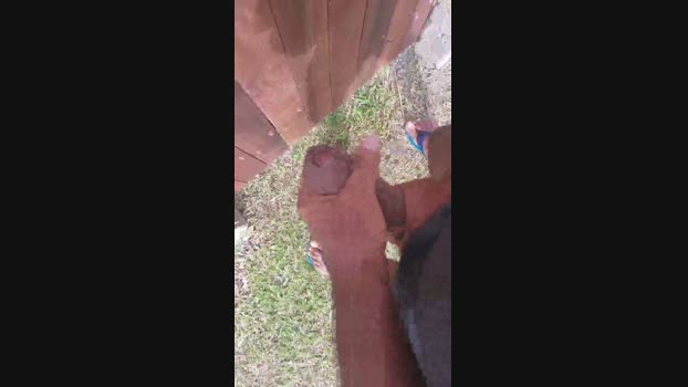 souzakw2 25-12-2024 Recorded Video big