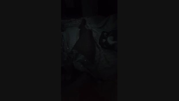 Uber_dotCwb 26-12-2024 Recorded Video toy