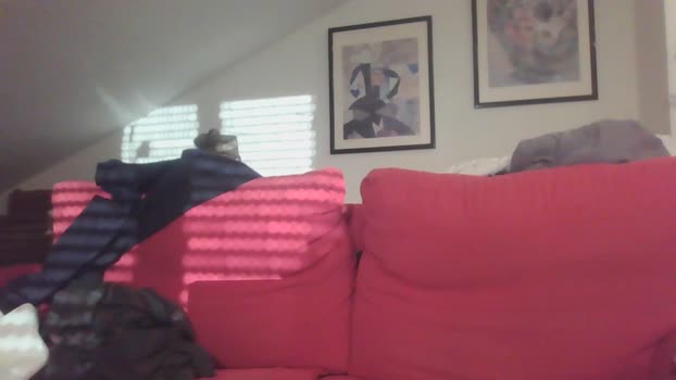 itsmydicker 26-12-2024 Recorded Video handsome