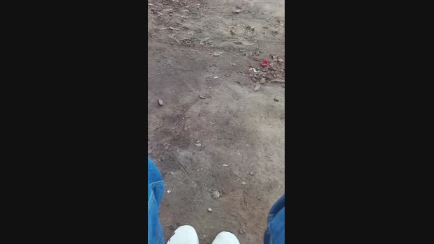 negaopicao22