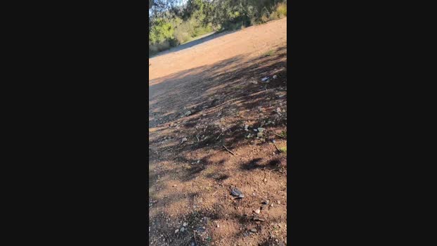 6Q87 27-12-2024 Recorded Video legs