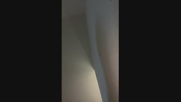 Casall01 26-12-2024 Recorded Video kiss