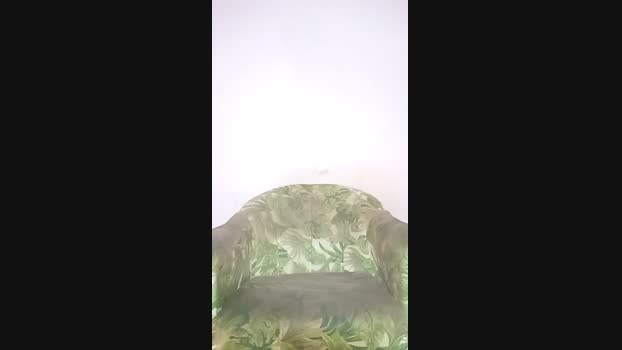 HCarioca24cm 27-12-2024 Recorded Video kiss