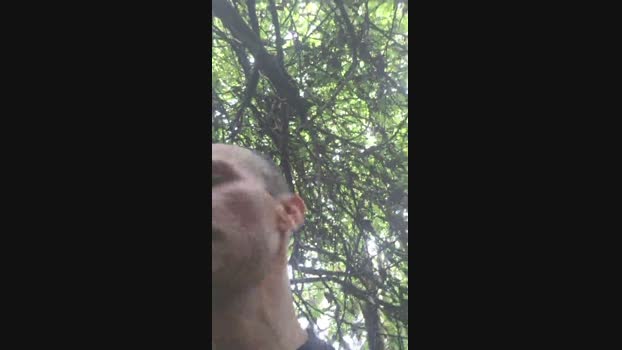 Nachohot18 27-12-2024 Recorded Video kinky