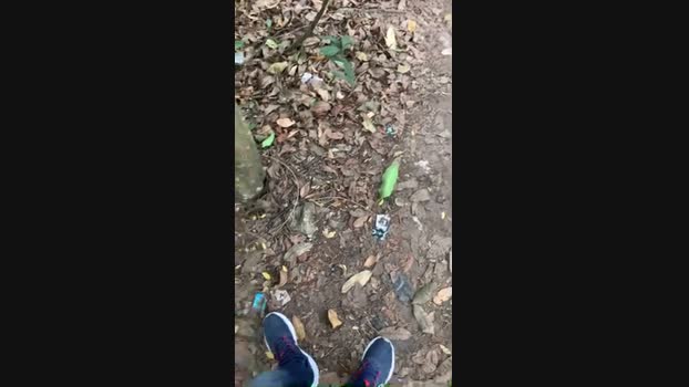 Nado1santos 26-12-2024 Recorded Video bigballs