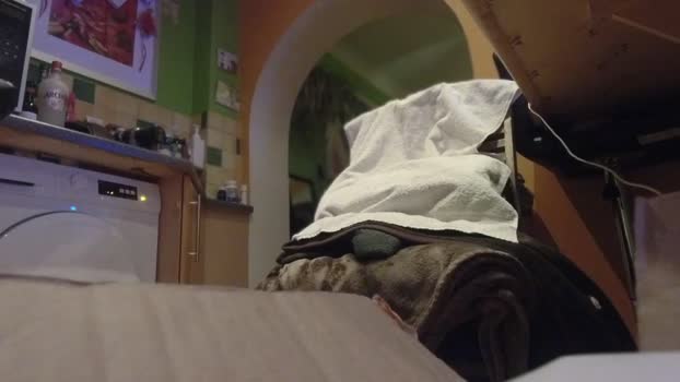 djhants 26-12-2024 Recorded Video analtoy