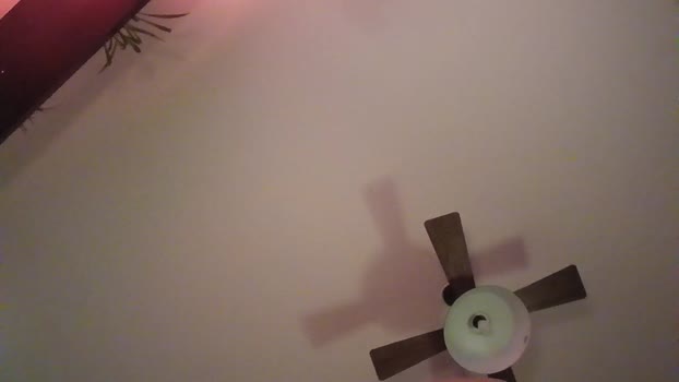 totati92 27-12-2024 Recorded Video bigballs