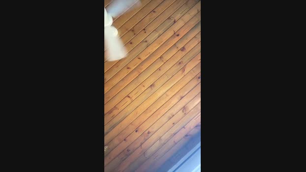 Brunodosanjos 27-12-2024 Recorded Video fuckme